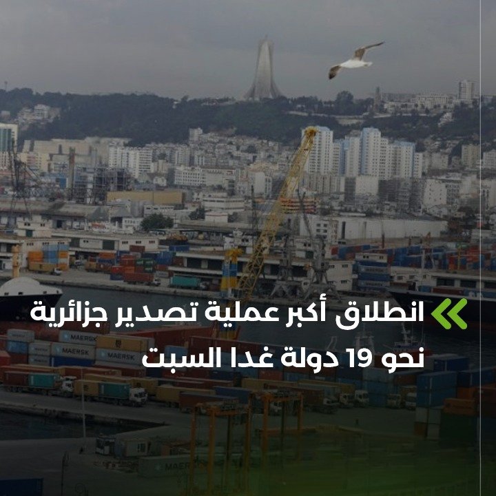 🇩🇿 1.2.3 viva l'algerie tweet media