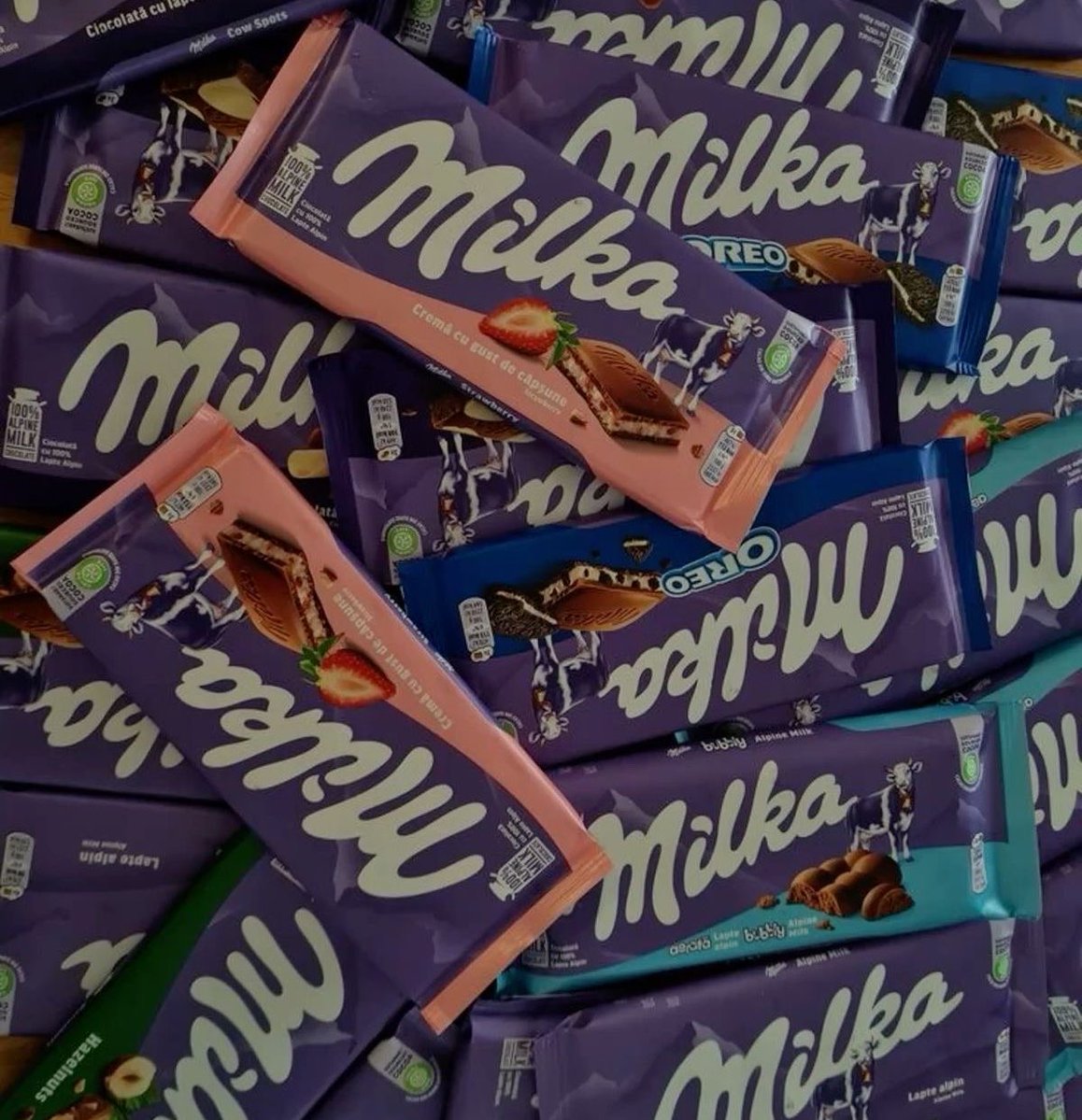 sky .✦ ── ≽^• ˕ • ྀི≼ tweet media