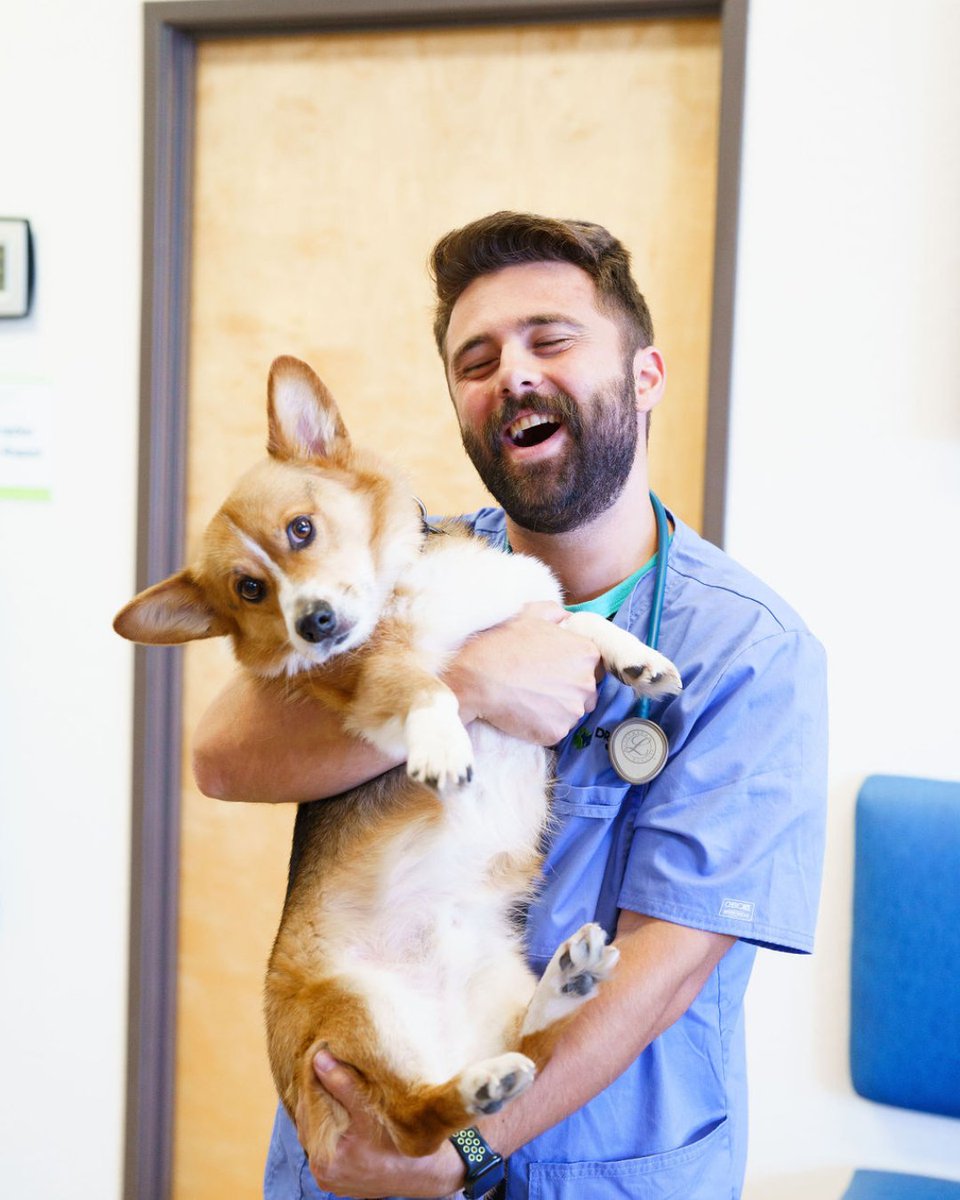 Dr. Kelly's Surgical Unit tweet media