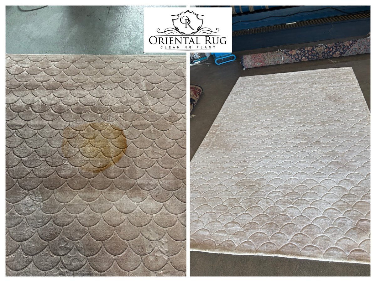 Rug Cleaning Orlando tweet media