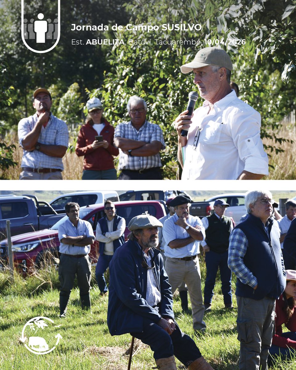 Sociedad Uruguaya de Silvopastoreo tweet media