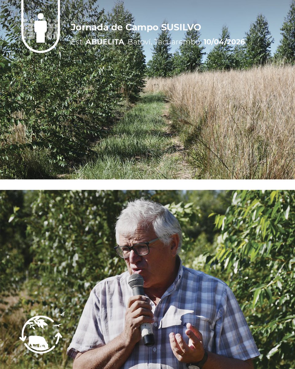 Sociedad Uruguaya de Silvopastoreo tweet media