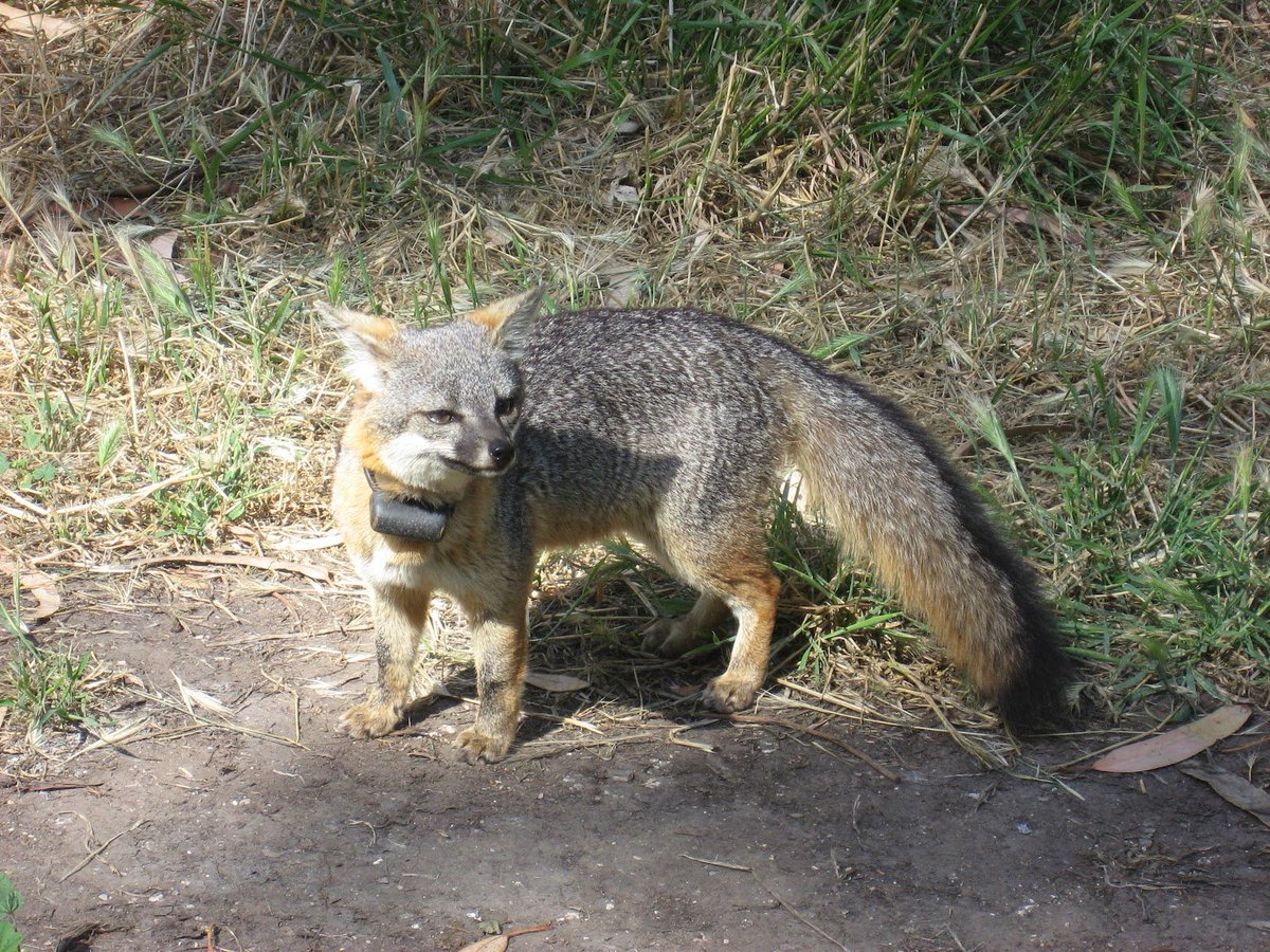 Ryan Moulton tweet media