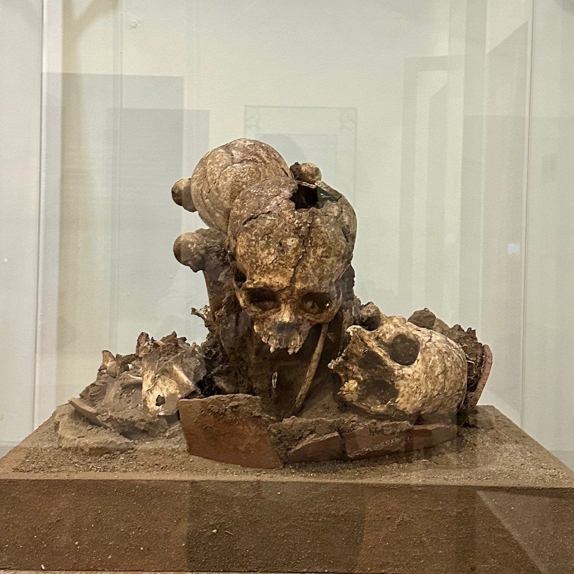Museo Arqueológico De Mazatlán tweet media
