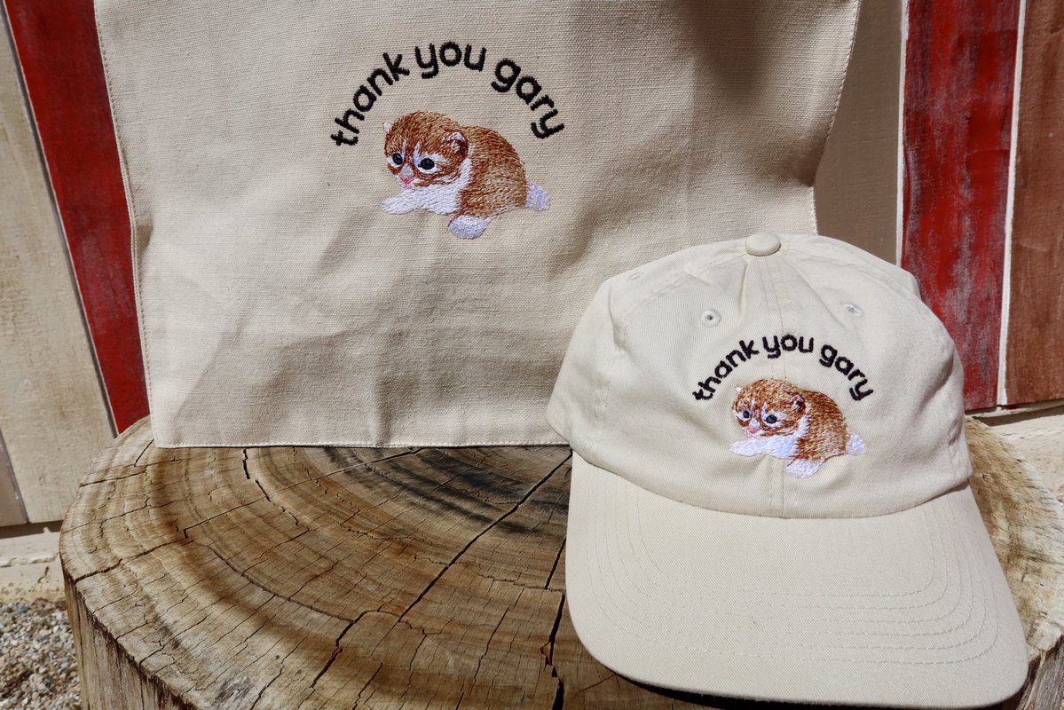 thankyougary.store tweet media