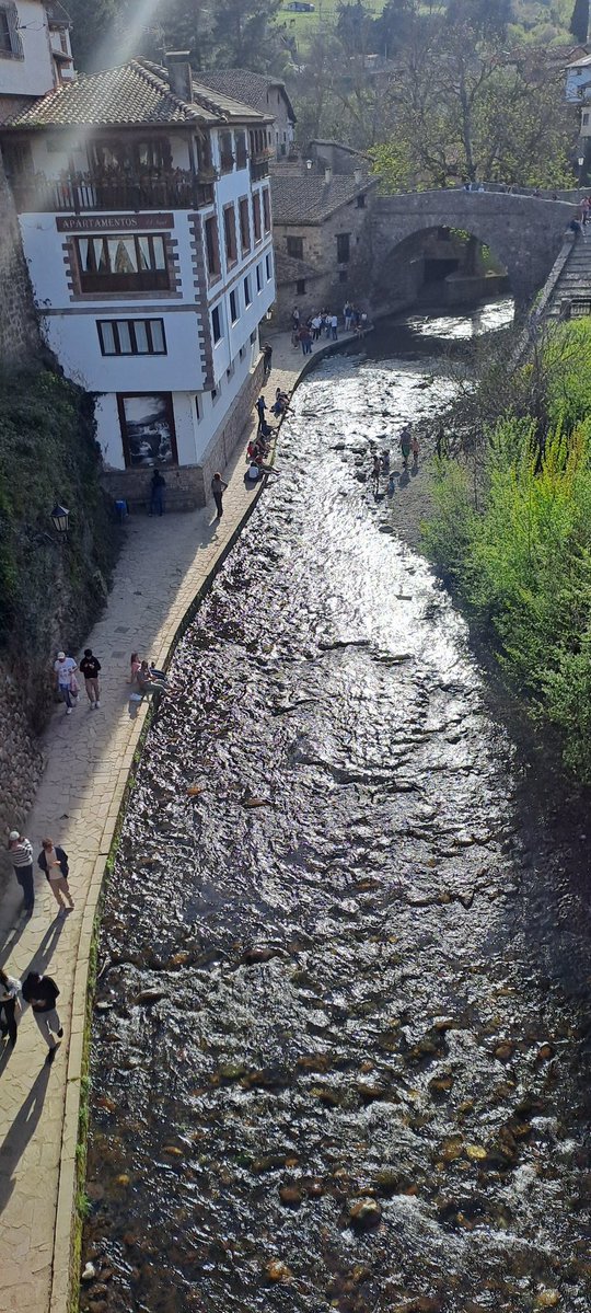 Oxímoron tweet media