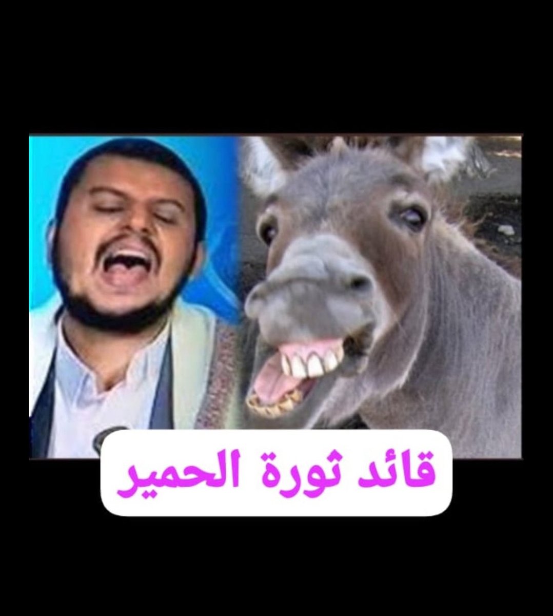 ابو صقر tweet media