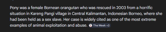 realcryptodom's tweet photo. Yo $PONY is one of the biggest example of animal abuse....

E67AcMAg9wJLgVNHsb5LAiZ1tNskJFq88ybMyE7Hpump https://t.co/zX2iaN556u