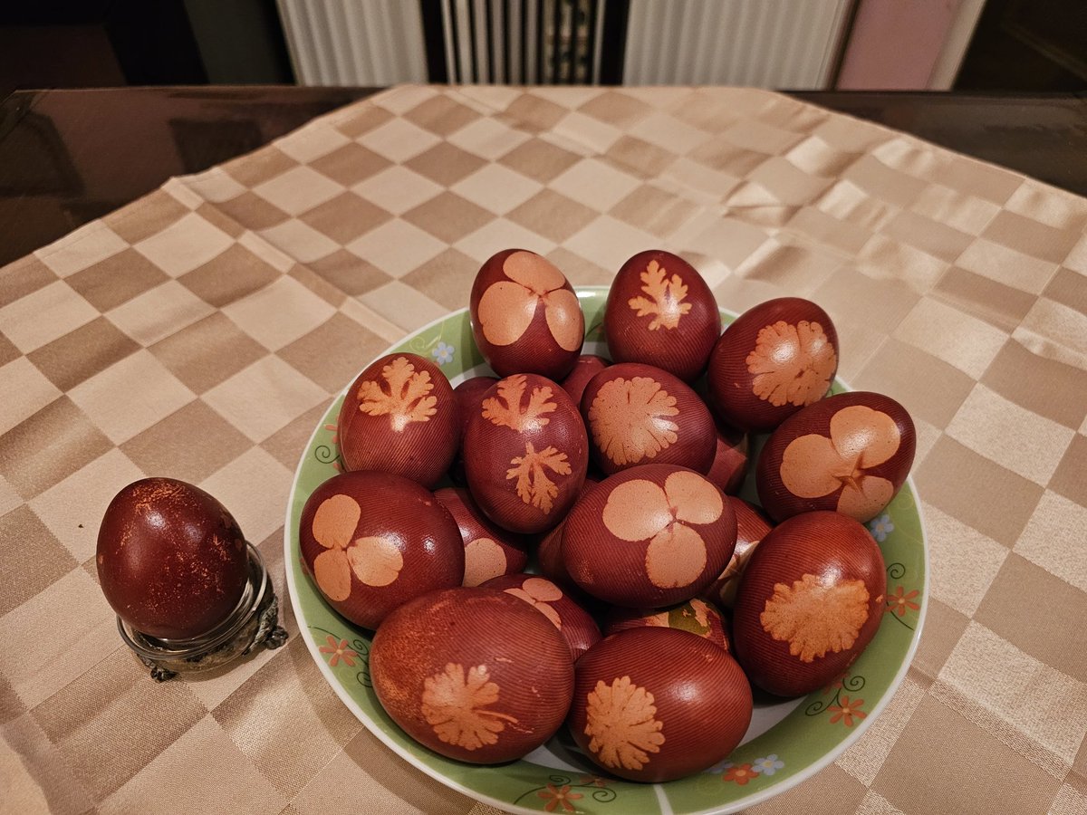 Saška Aleksandra Opačić tweet media