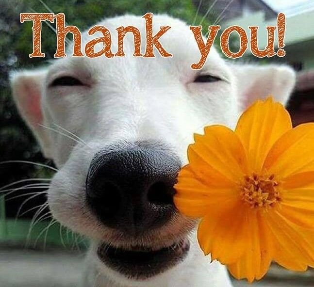 x - beep tweet media