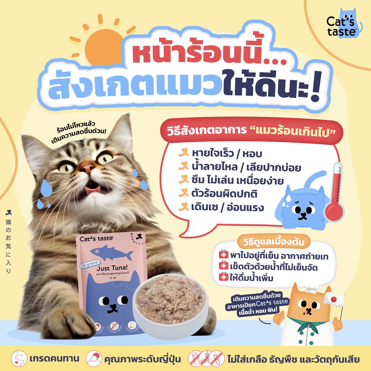 Kate_CatsTaste's tweet photo. หน้าร้อนนี้…สังเกตแมวให้ดีนะ!
ร้อนเกินไปไม่ใช่เรื่องเล่น ๆ น้า เจ้านายอาจกำลังส่งสัญญาณอยู่ 
 
เช็กด่วน! อาการแมวร้อนเกิน
• หายใจเร็ว / หอบ
• น้ำลายไหล เลียปากบ่อย
• ซึม ไม่เล่น เหนื่อยง่าย
• ตัวร้อนผิดปกติ
• เดินเซ อ่อนแรง

#CatsTaste #Catstasteคิดมาแล้วให้แมวLove https://t.co/7i4Rv0RvSc