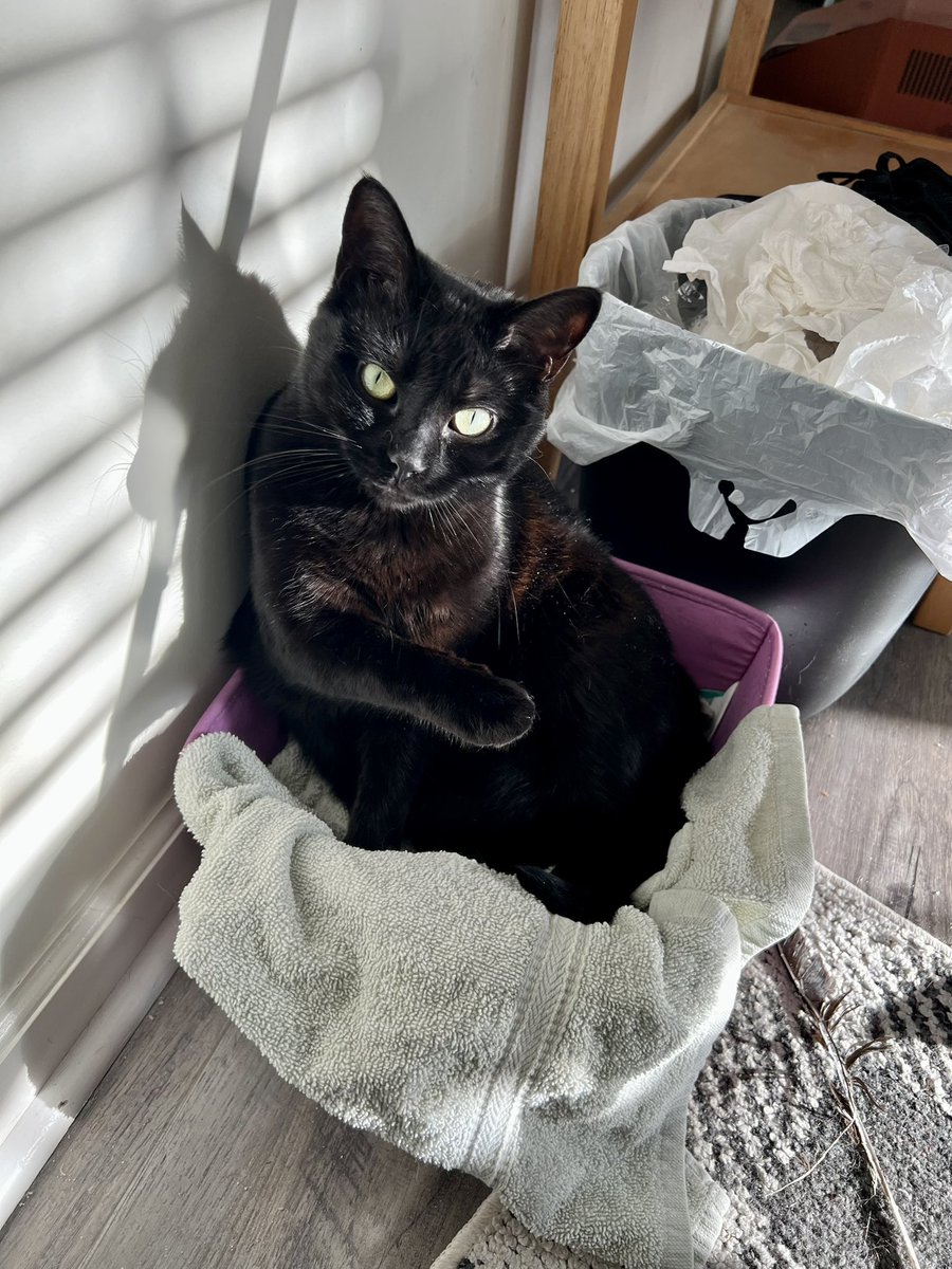 H-BOMB 🚀 tweet media