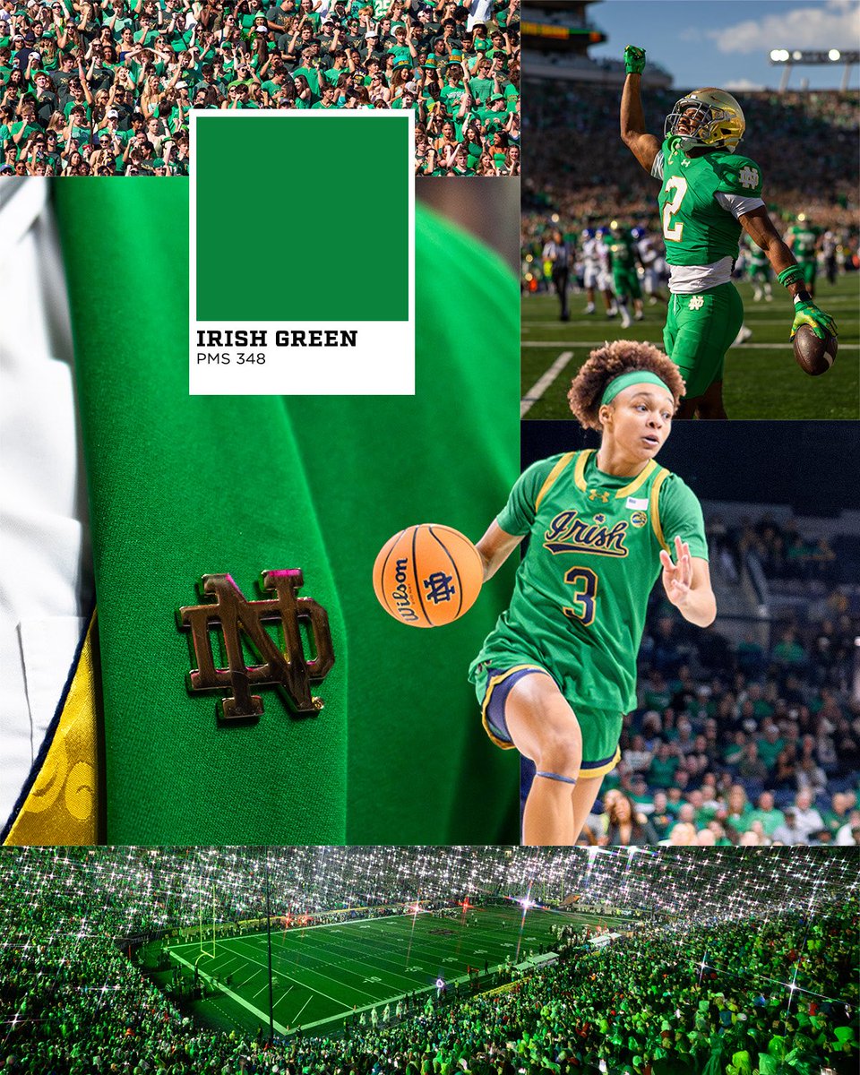 FightingIrish's tweet photo. There’s just something about these colors 

#GoIrish☘️ https://t.co/URuiK67aqx
