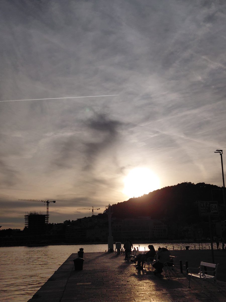 Strila2411 tweet media