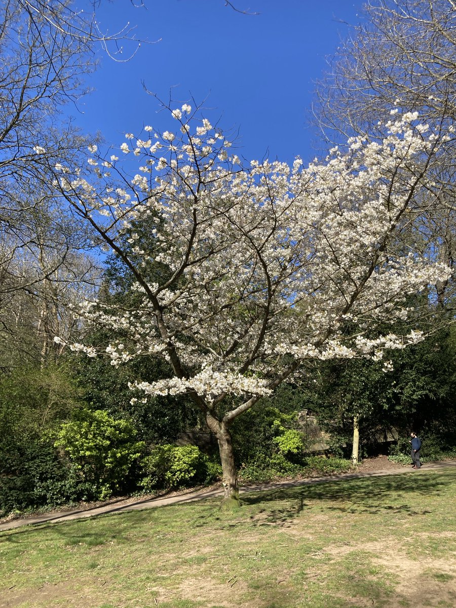 Waterlow Park tweet media