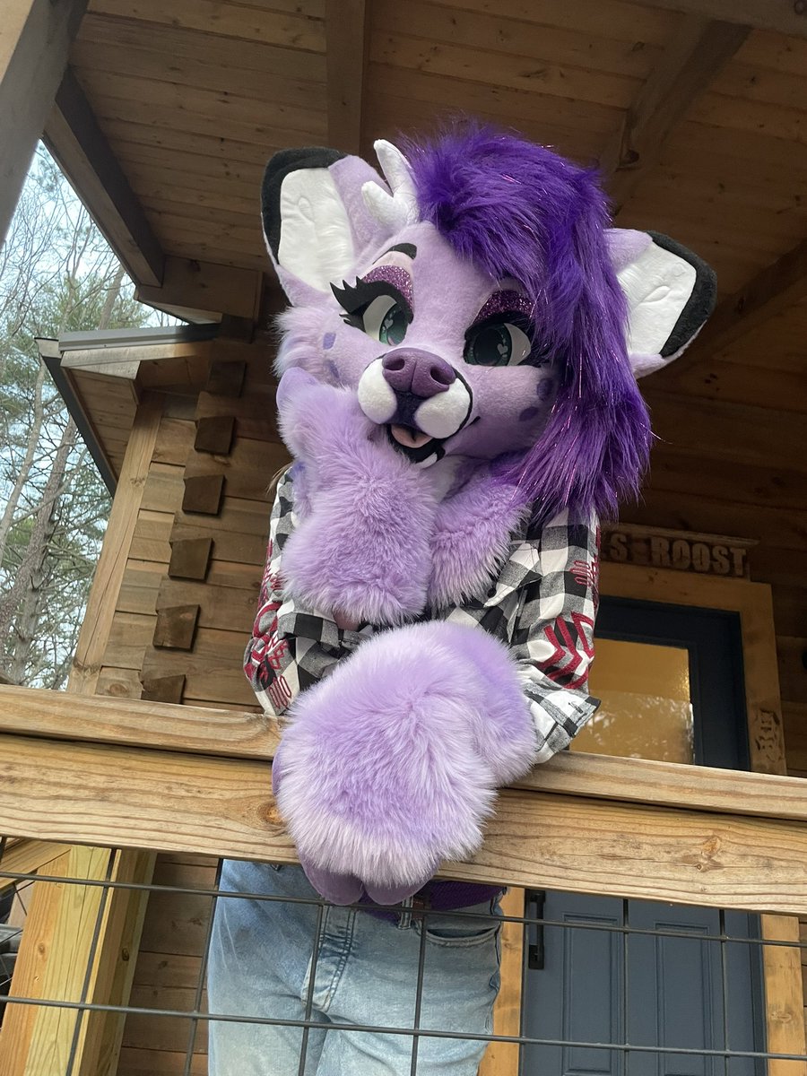 Lilac the Deerest 💜 tweet media