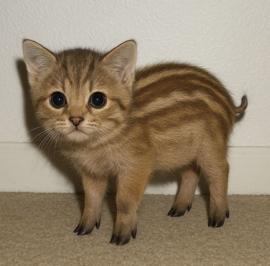 남정민 tweet media