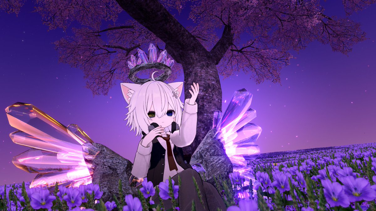 弟白トラ@VRC tweet media