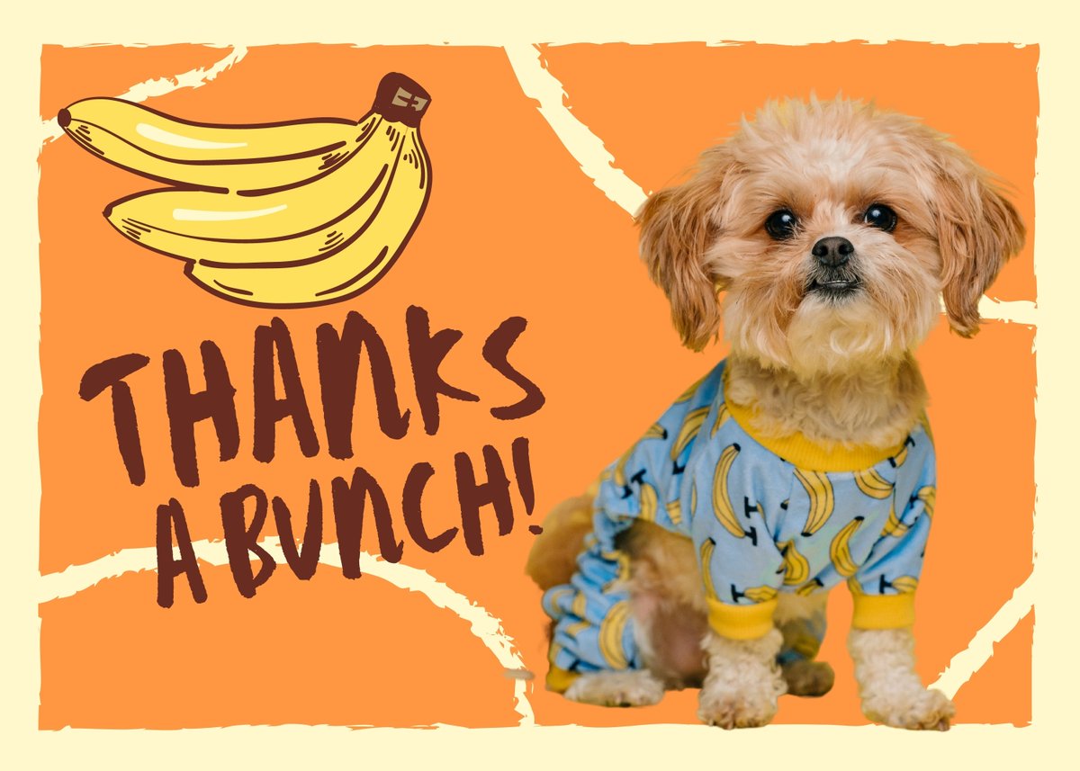 Laminate.com tweet media