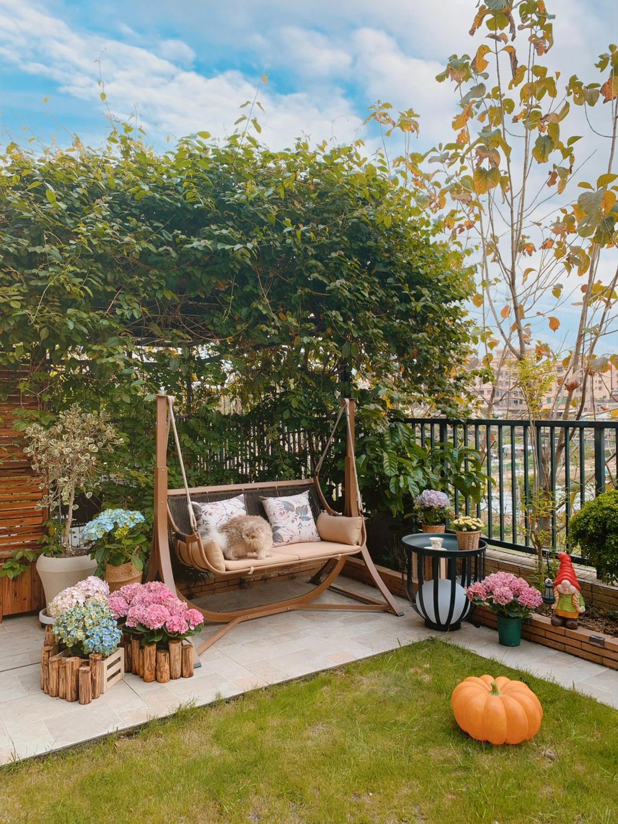 Lynn Mile tweet media