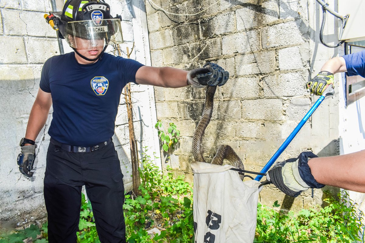 Benemérito Cuerpo de Bomberos de Machala tweet media
