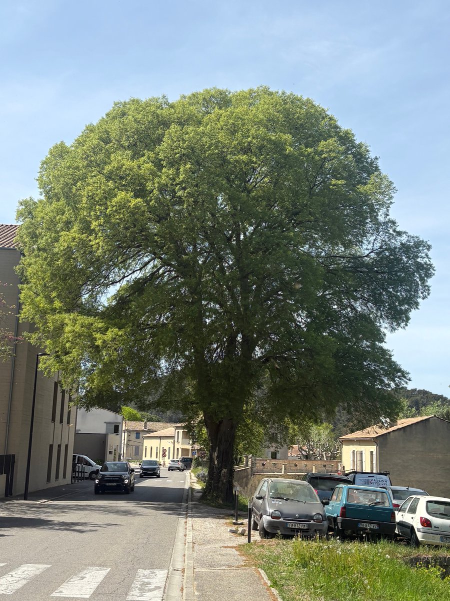 ALASTAIR CAMPBELL tweet media