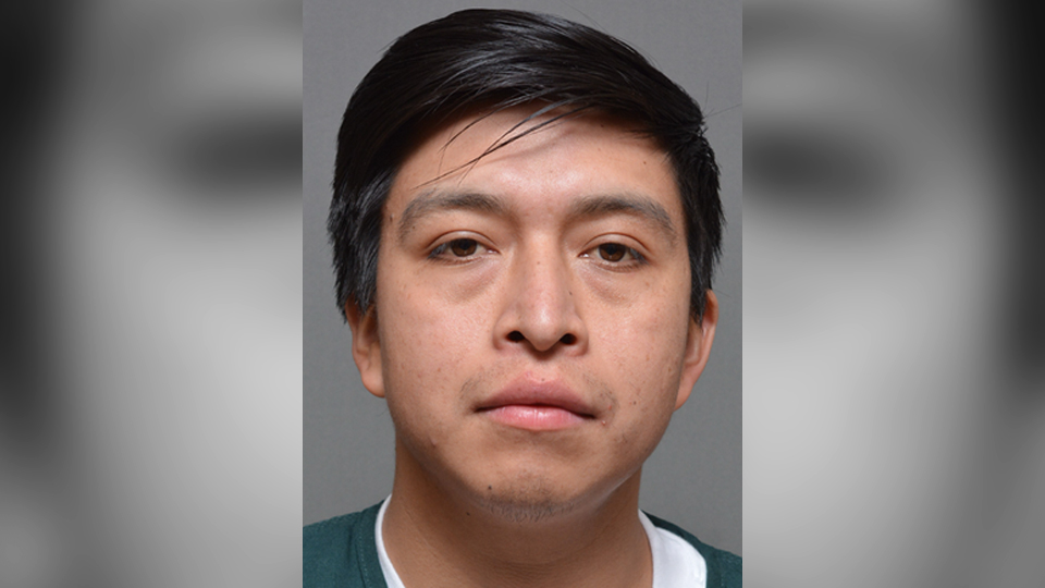 Rapid Response 47 tweet media