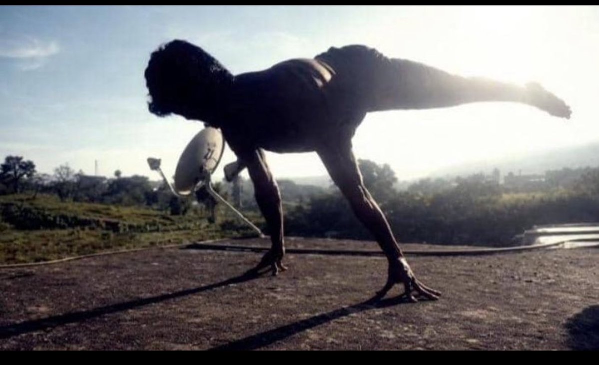 BIG LEO 🦅 tweet media