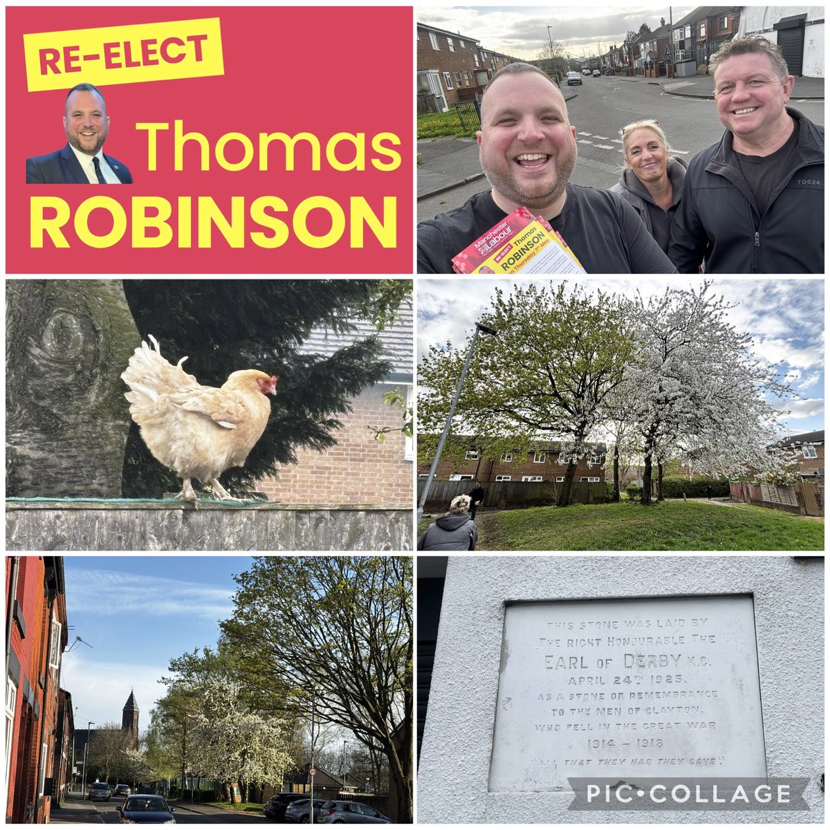 Thomas F. Robinson tweet media