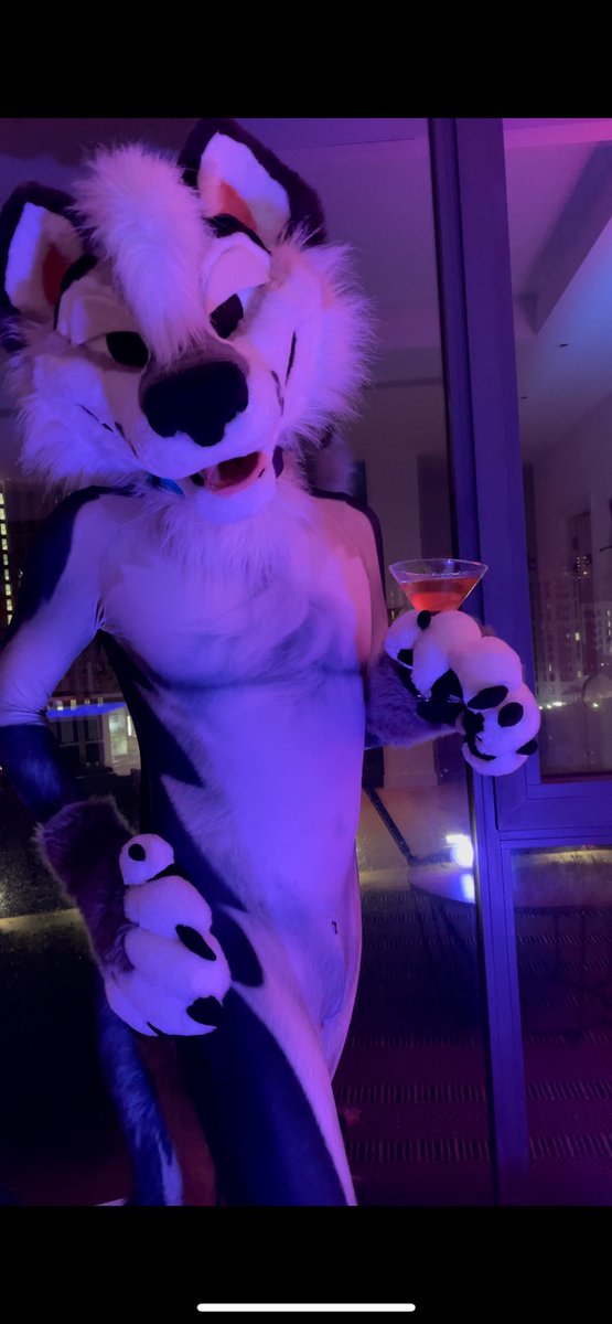 Machi 🐺 / Smudge 🐶 tweet media