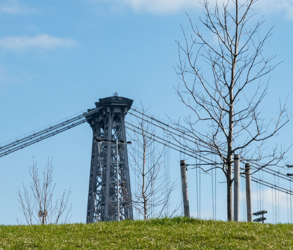 Our Park tweet media