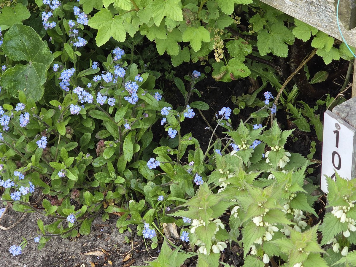 J🍋sephien Sierag 🕊📚🌸🍣📷 tweet media