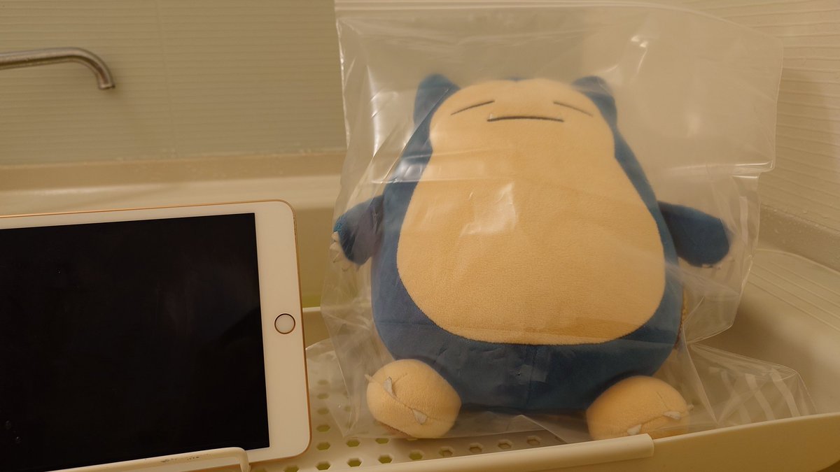 ぽむ👾@愛猫投稿bot tweet media