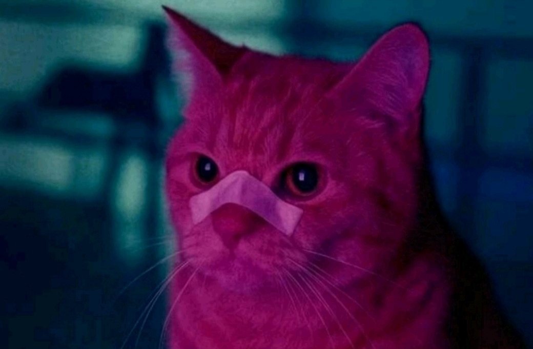 Zorua Chispitas tweet media