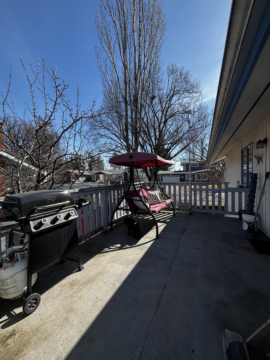 northernbooksh's tweet image. Spring has finally arrived and I managed to tidy up our deck so I can have my little oasis for a little bit at least. I can’t wait to read in the sunshine.

#SpringVibes #BookWorm #NorthernBC