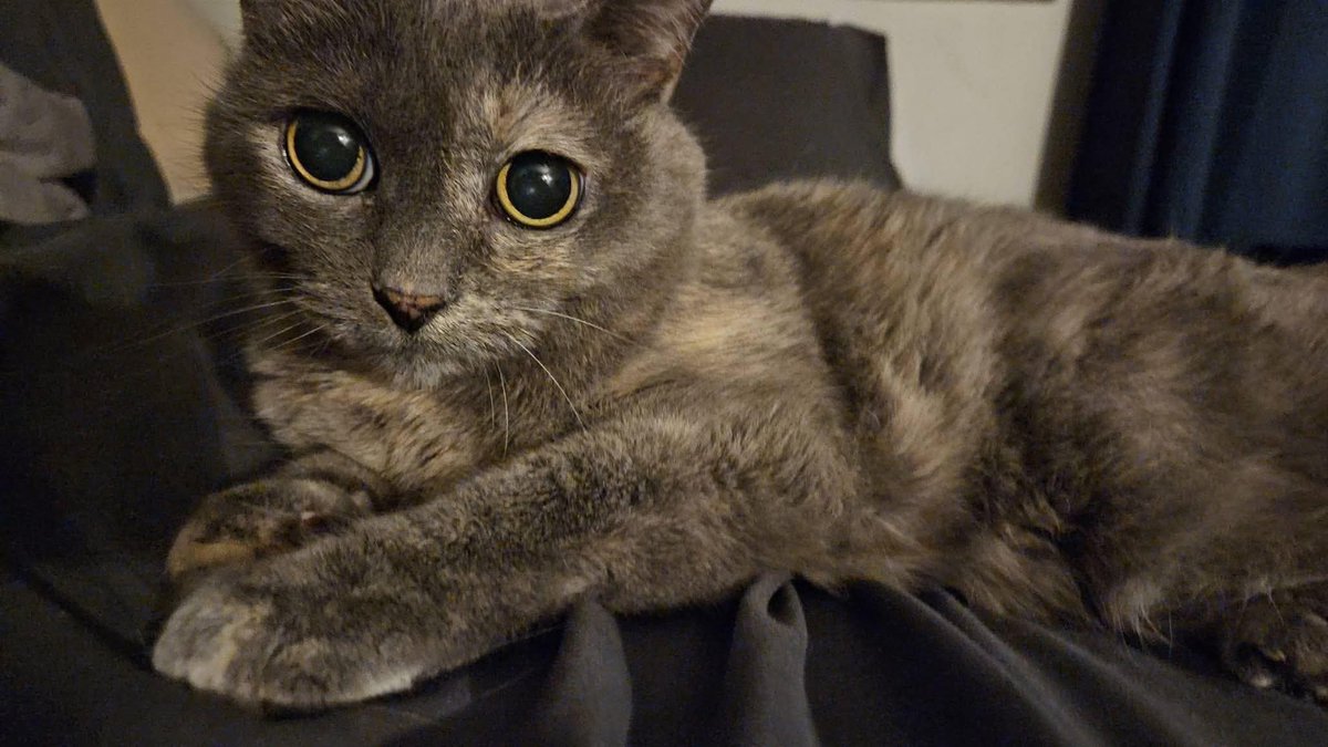 Mary 🕊️ tweet media