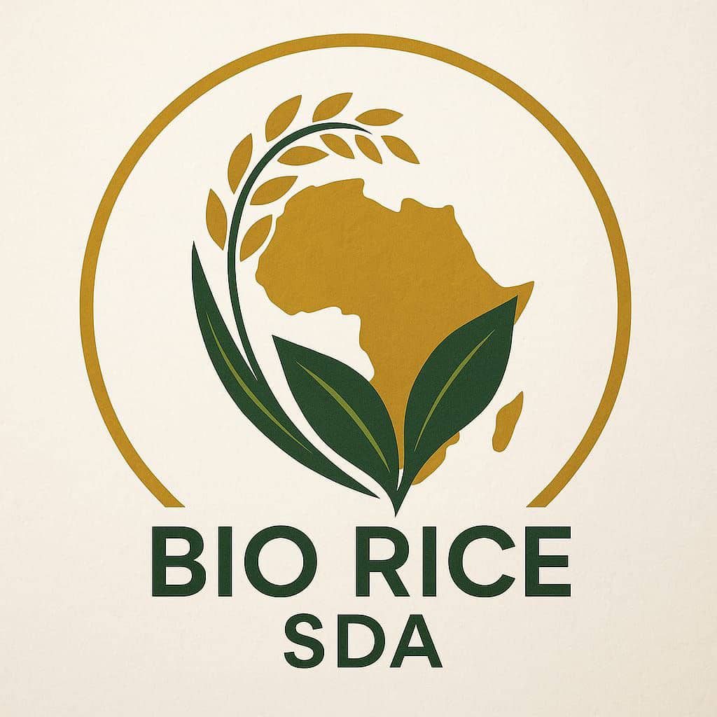 brouhyacinthe09's tweet photo. Our primary goal after the listing is to ensure that 1 BRSA exceeds 2 SDA. We will work diligently to make this a reality. 
@BiORICESDA 
@maljefairi 
@sidrachain 
@IchamLabodja 
Link telegram. 
https://t.co/ZlobwcV49A https://t.co/zBAwNhMFTj