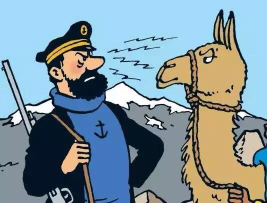 Capt. Haddock | קפטן האדוק | کاپیتان هادوک tweet media
