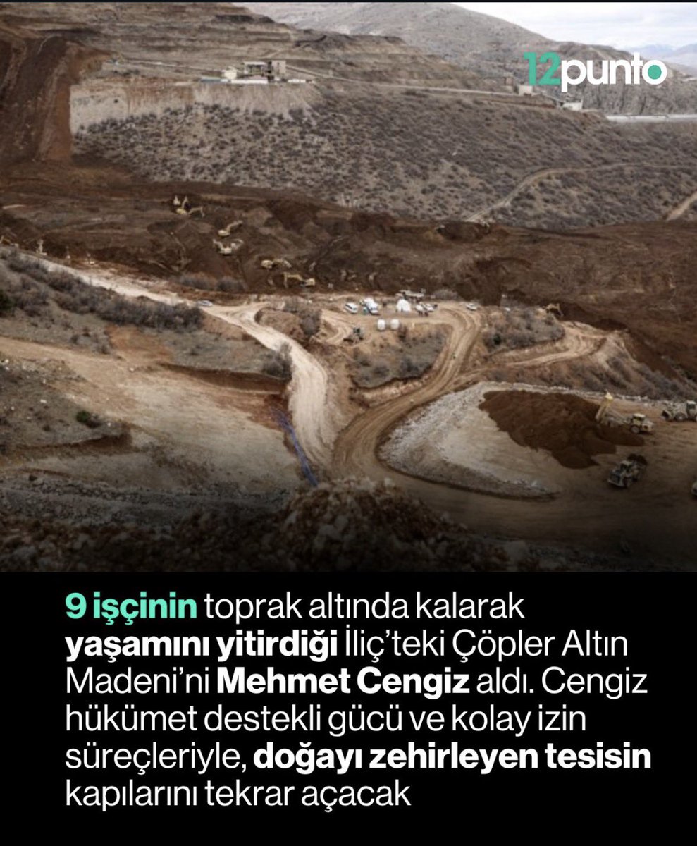 Prof. Dr. Bengi BAŞER tweet media