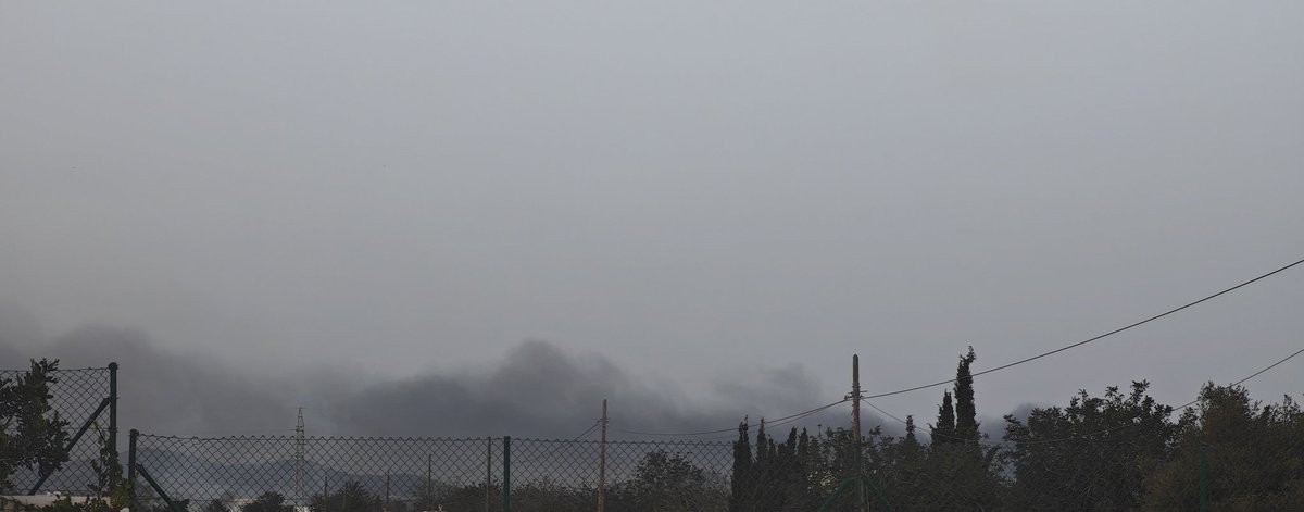 marta #Antifascista 🔻 tweet media