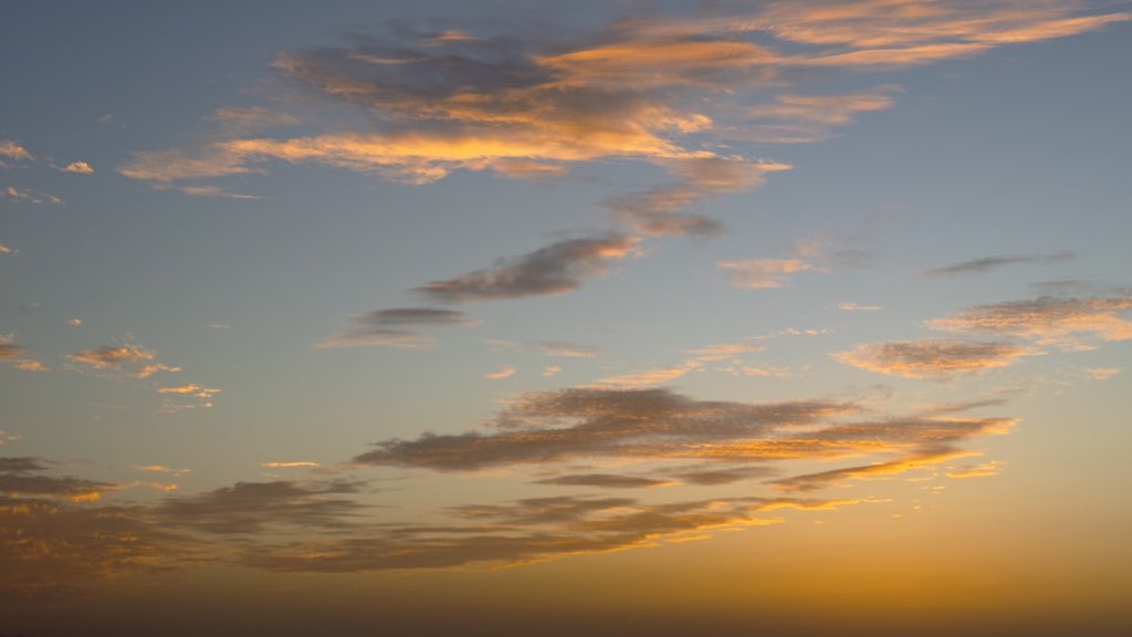 𝐑𝐢𝐲𝐚𝐝𝐡 | 🎞️ tweet media