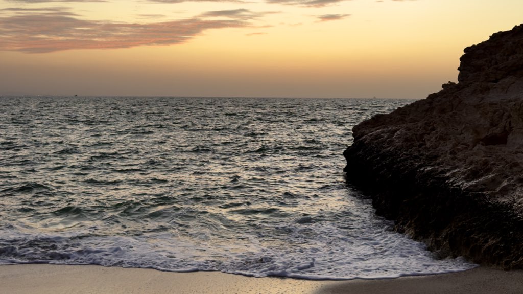 𝐑𝐢𝐲𝐚𝐝𝐡 | 🎞️ tweet media