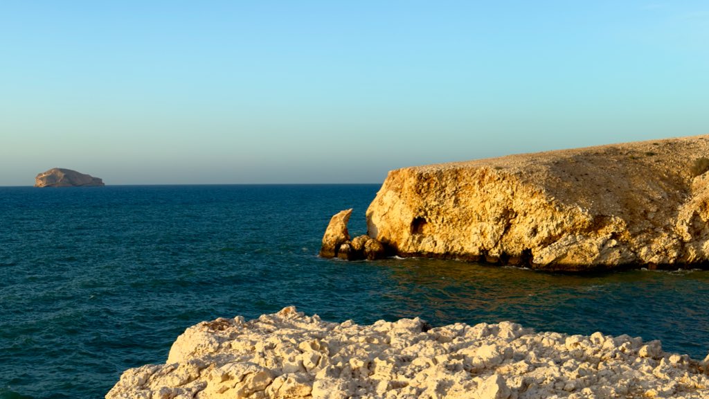 𝐑𝐢𝐲𝐚𝐝𝐡 | 🎞️ tweet media