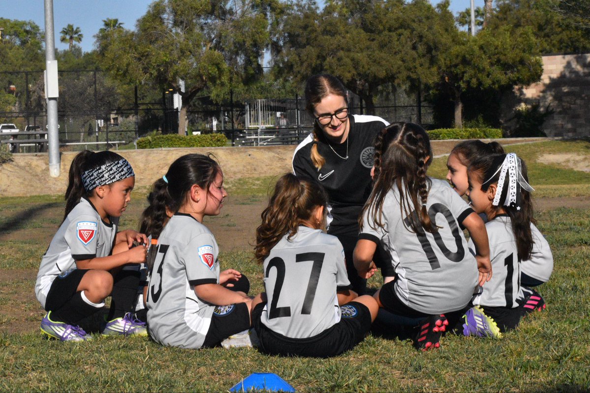 DV7 Academy tweet media