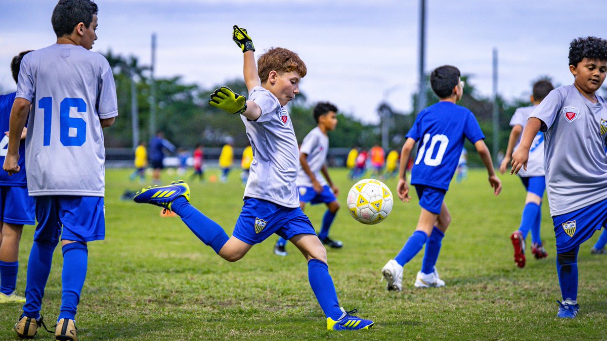 DV7 Academy tweet media