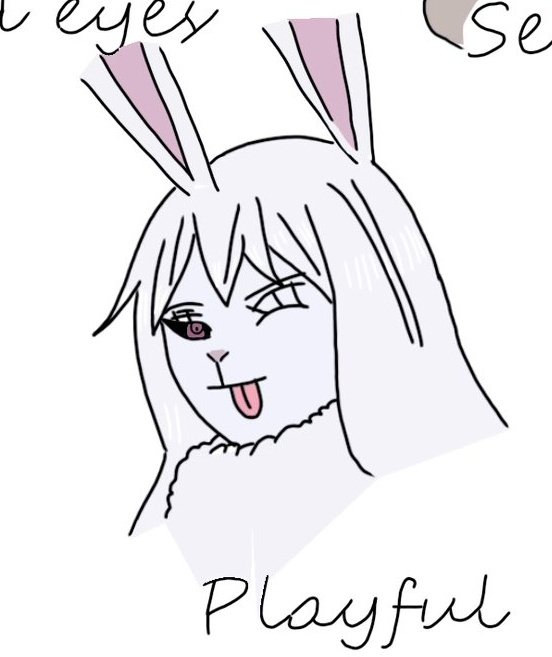 Demii 🇩🇴 tweet media