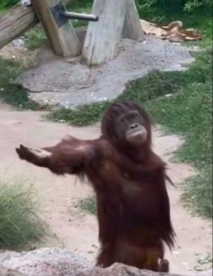 Nigerian girls once you say "i love you"