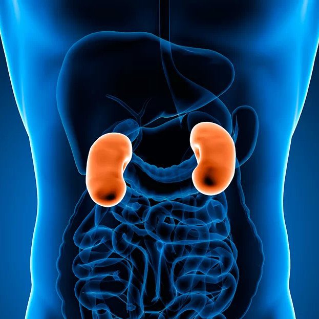 Tendencias en Argentina tweet media