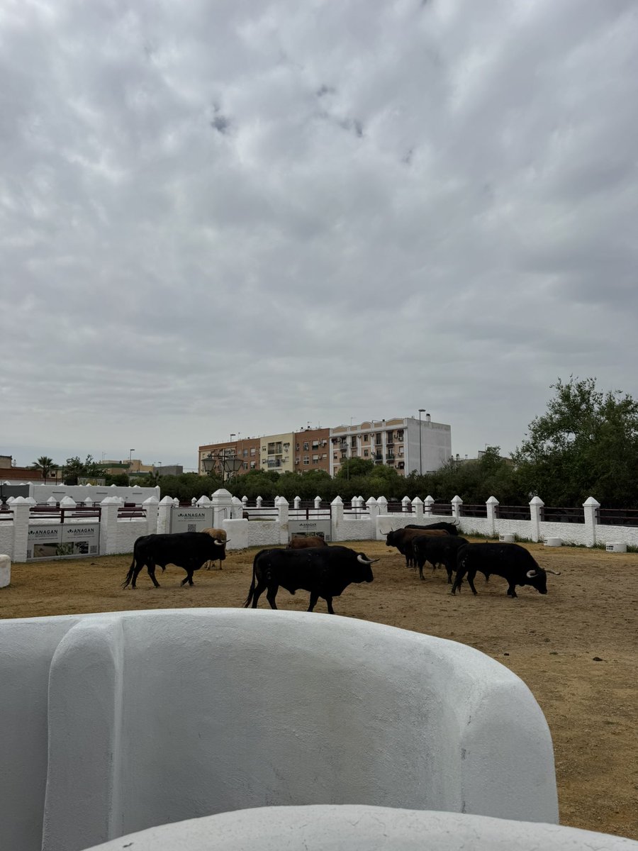 Francisco Senín tweet media