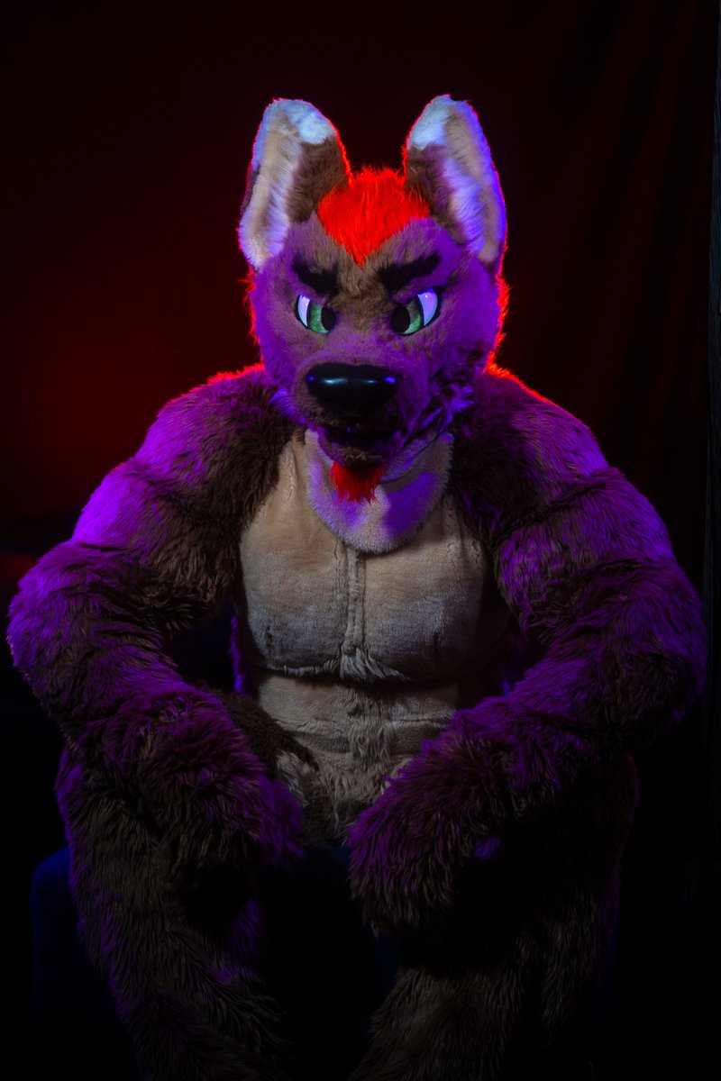 arrowt's tweet image. ⚠️ Trade offer ⚠️

I receive: "who's a big wolf? It's you! You're a BIG wolf! Good wolf!"

You receive: a big crushing hug and uppies

Do you accept? #FursuitFriday 

📸: @dire_walf